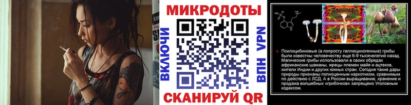 Псилоцибиновые грибы Cubensis  Полысаево 