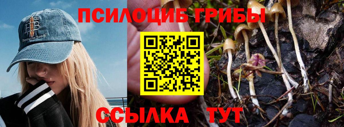 как найти закладки  Вход с VPN  Полысаево  Псилоцибиновые грибы Psilocybe 