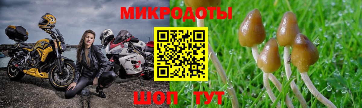Псилоцибиновые грибы ЛСД Полысаево